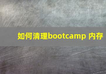 如何清理bootcamp 内存